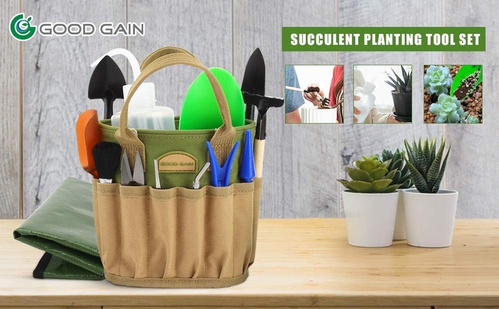 15 Pieces Succulent Tools Kit with Organizer Bag, Indoor Mini Garden Hand Tools Set with Carrier,Transplanting Tools Set with Tote for Bonsai Planter.Miniature Indoor Fairy Planting Care.(Honeysuckle)