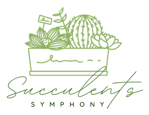 Succulents Symphony