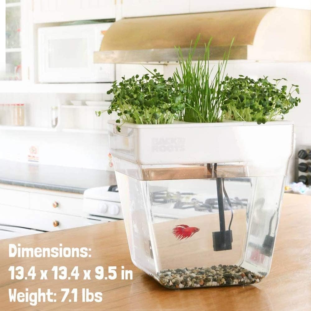 Back to the Roots Indoor Aquaponic Garden - 3 Gallon Self Watering, Mess-Free Planter and Self-Cleaning Fishtank for Herbs, Microgreens, Bamboo, Succulents, and Houseplants, support Fish