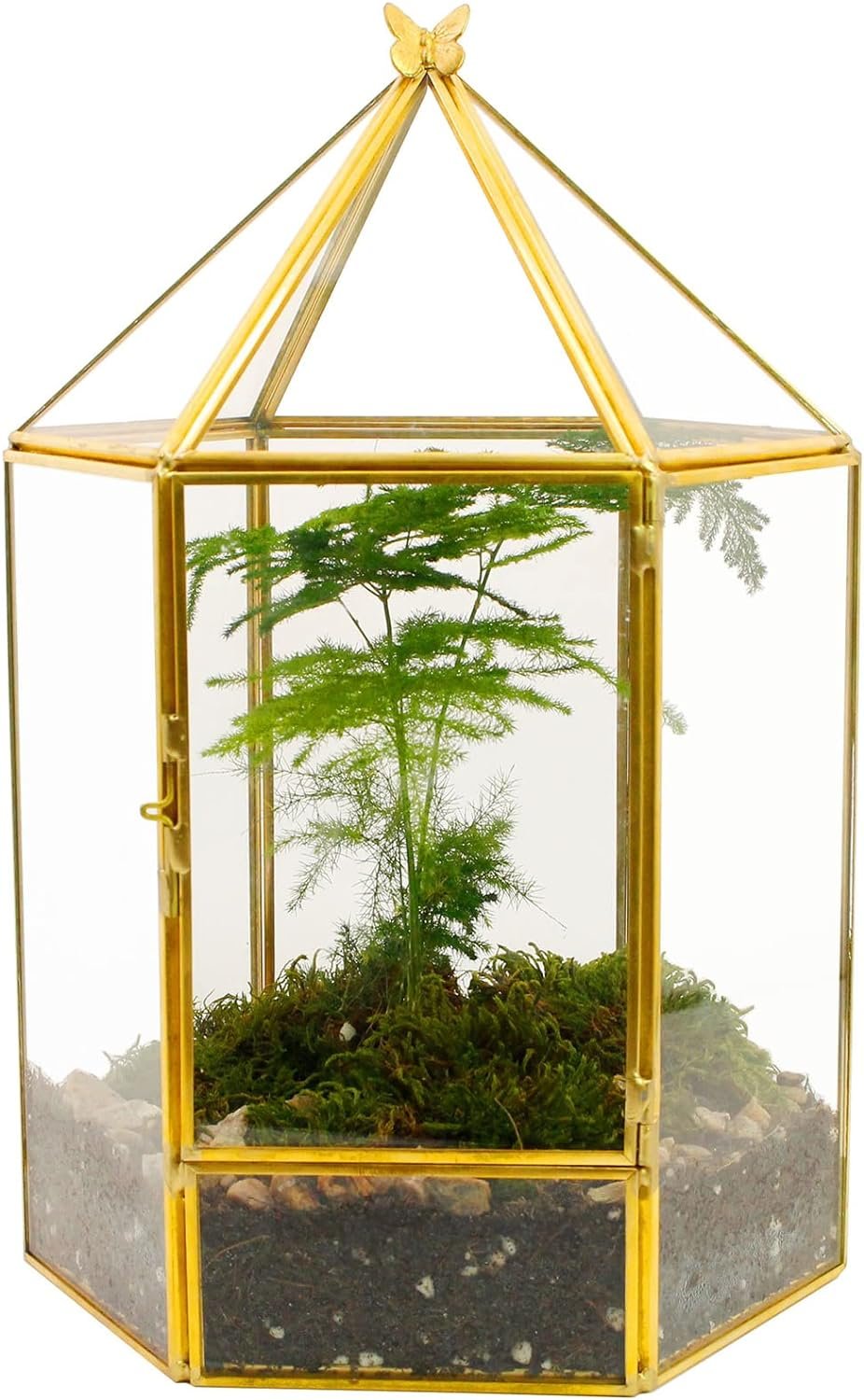 ELEGANTLIFE Glass Geometric Plant Terrarium,Succulent Air Planter for Home Garden Office Decoration (Black House)