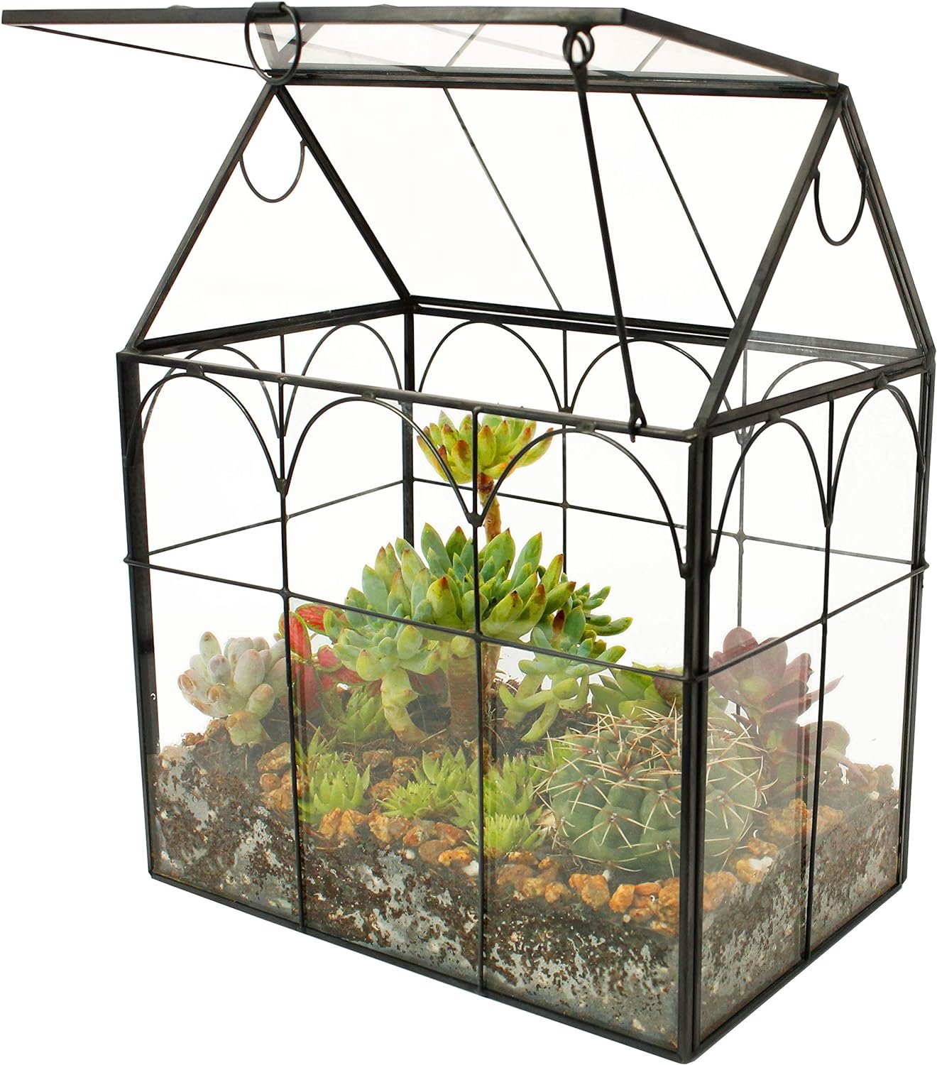 ELEGANTLIFE Glass Geometric Plant Terrarium,Succulent Air Planter for Home Garden Office Decoration (Black House)