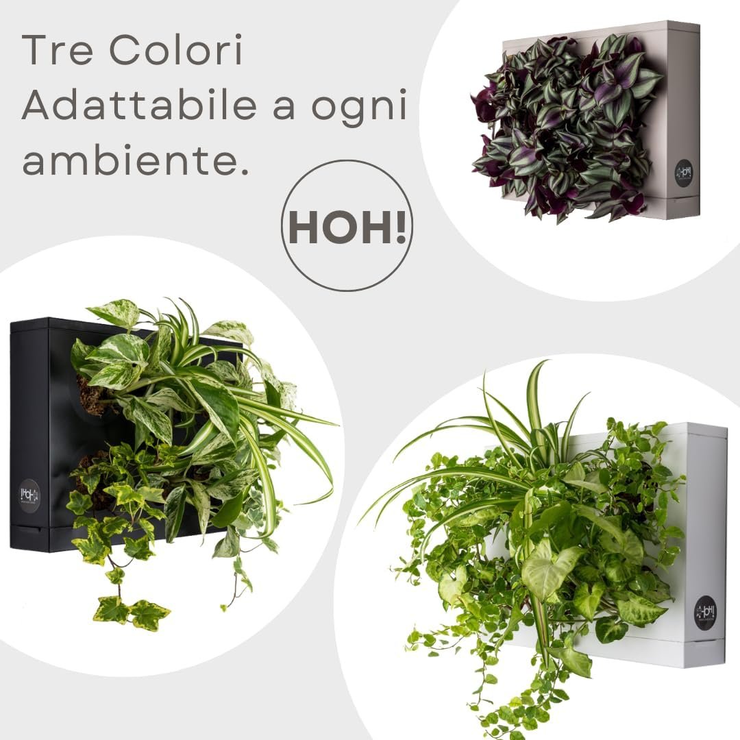Ortis Green Hang.Oasi.Home - Indoor Vertical Garden, Contains 1 White Planter Unit, Design Your Own Living Wall With Vertical Gardening Planters, Use Indoors, Holds 6 Plants