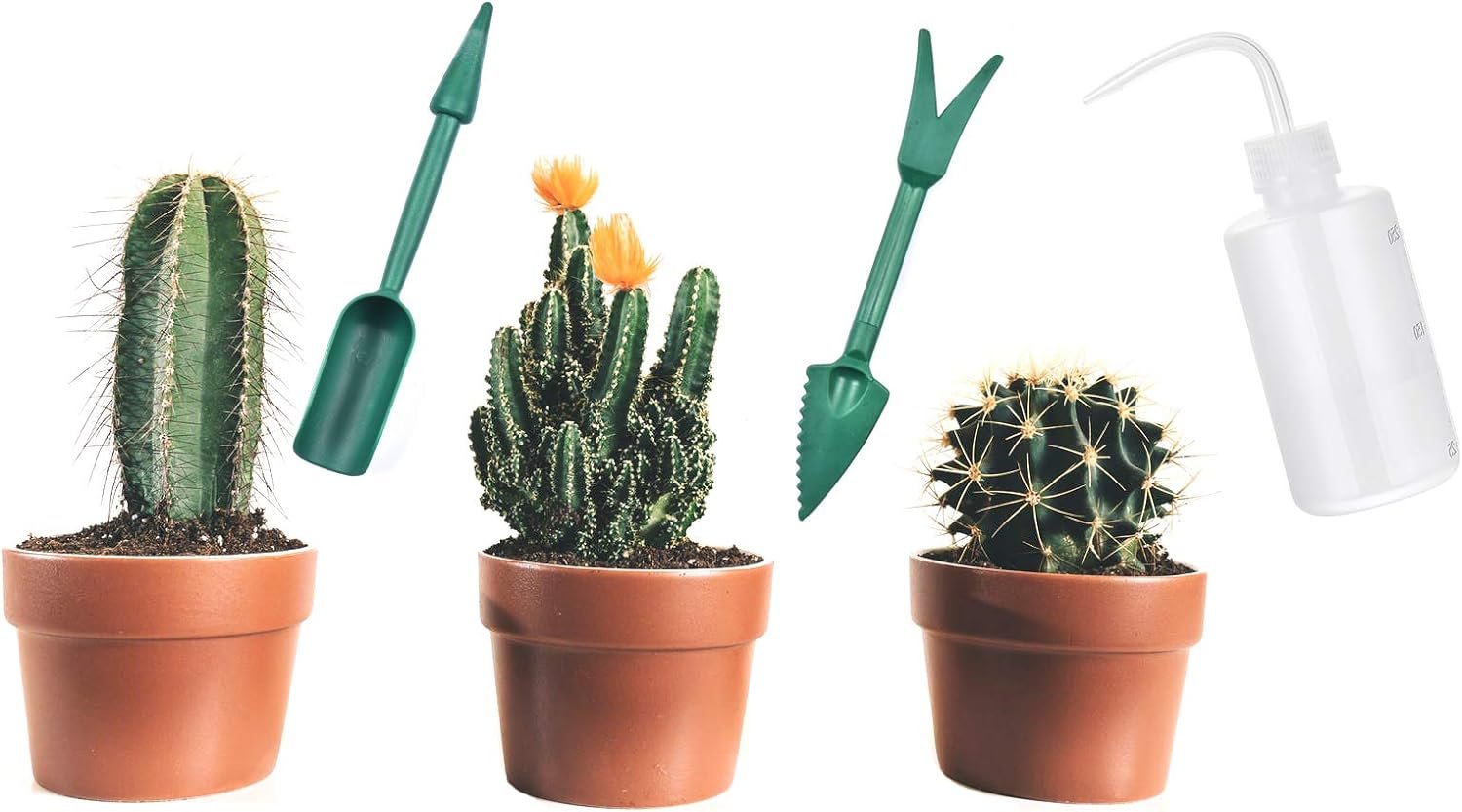 Succulent Tools, Gardening Tools, Succulent Watering Bottle Squirt Botttle for Indoor Plants, Bonsai Tools Terrarium Kit, Plant Spray Bottle,Garden Succulent Kit Transplant Tool Set for Seedling Soil