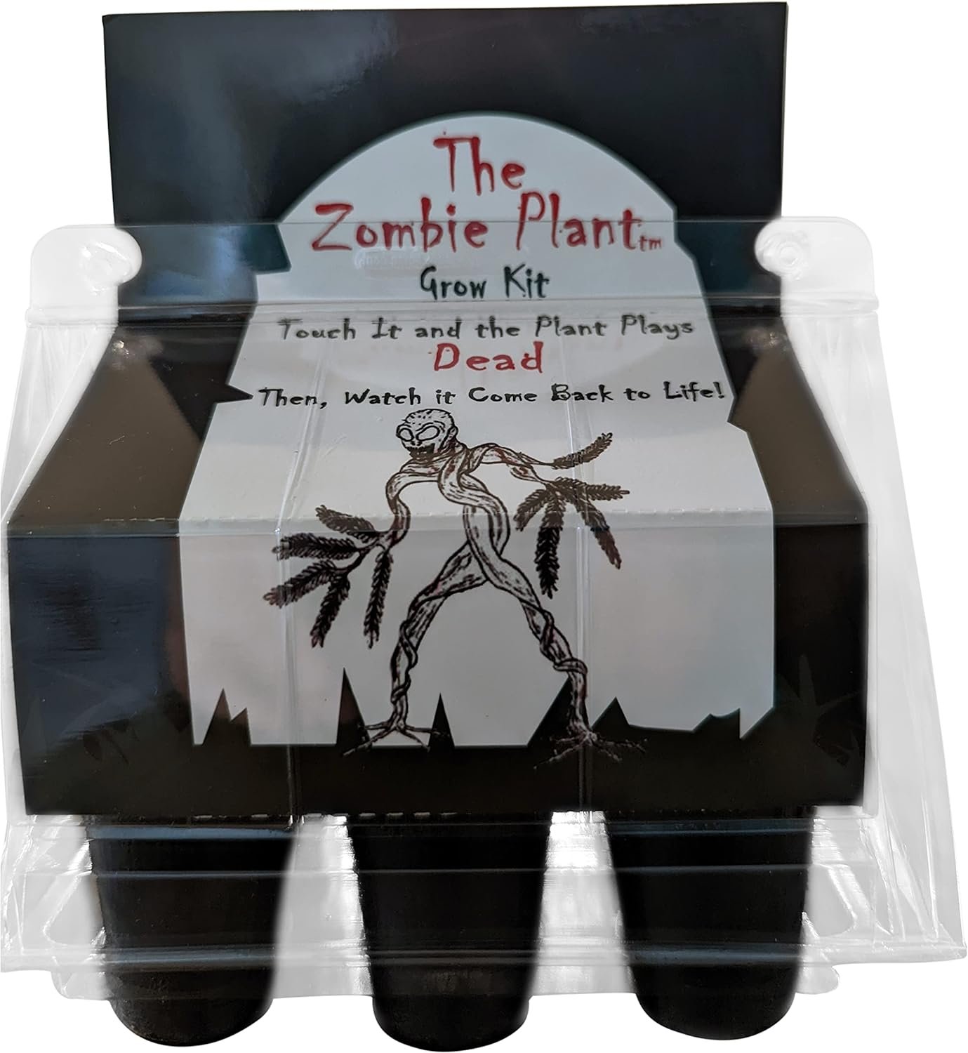Zombie Plant Greenhouse Grow KIT- (Touch It and It Plays Dead!) Unique Nature Kit- Grow a Fun House Plant That Plays Dead When You Touch It! Comes Back to Life in Minute. Unique Christmas Gift Idea
