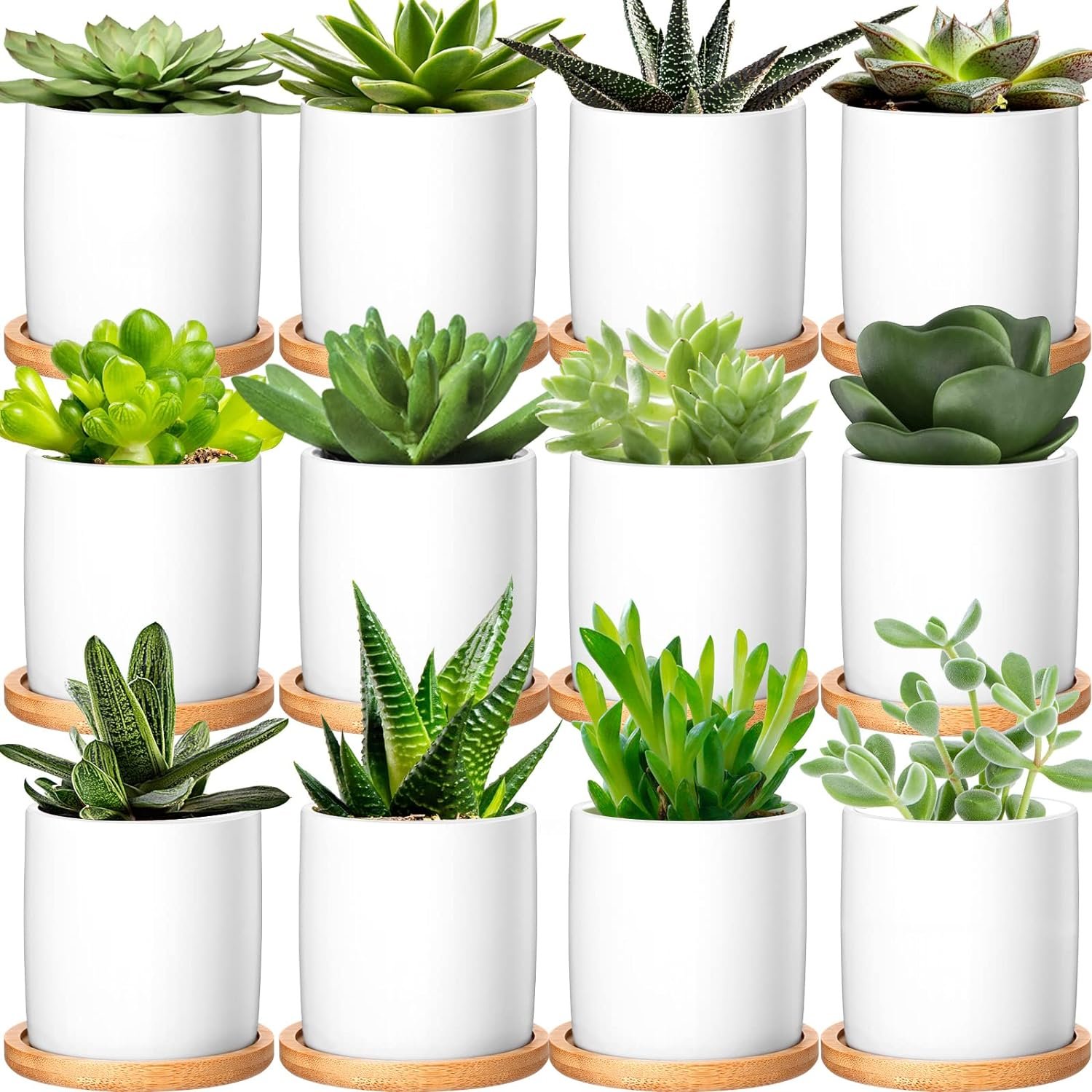 12 Pack Small Succulent Pots 3 Inch White Ceramic Planter Pot and Bamboo Tray with Drainage Hole Mini Flower Plants Pots for Succulents Cactus Indoor Garden Decorations, Plant Not Included