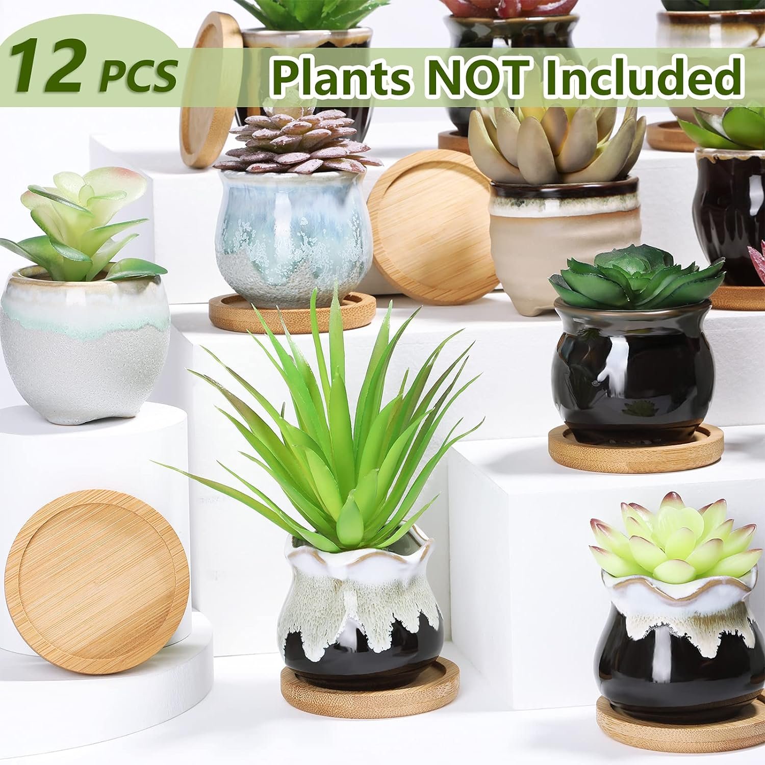 2.5 Inch Small Pots for Succulents, Ceramic Succulent Planter Pot with Drainage Round Bamboo Plant Tray, Planting Pot Flower Pots Home Office Desk Garden Unusual Birthday Gift Idea (Rich Color,12 Pcs)