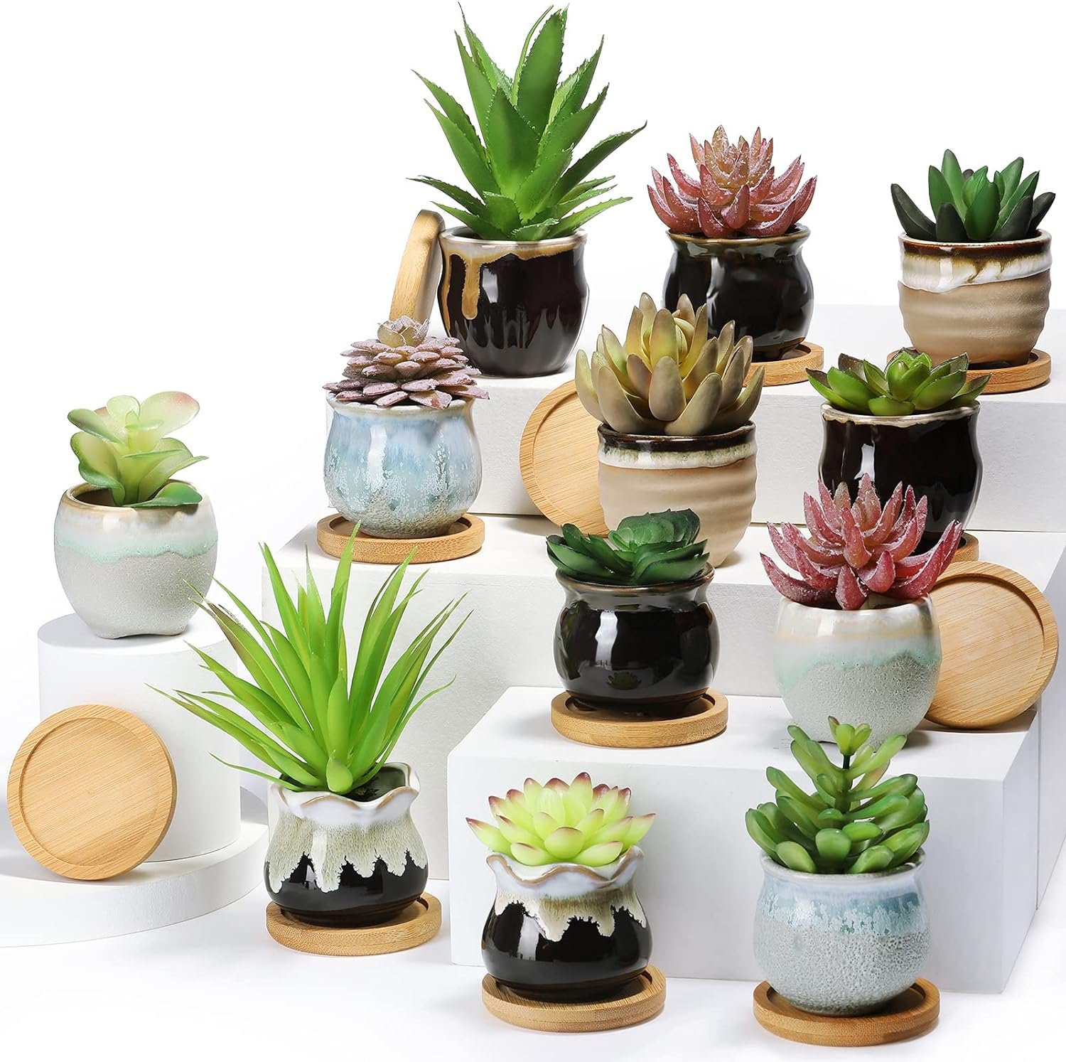 2.5 Inch Small Succulent Planter Pot Review