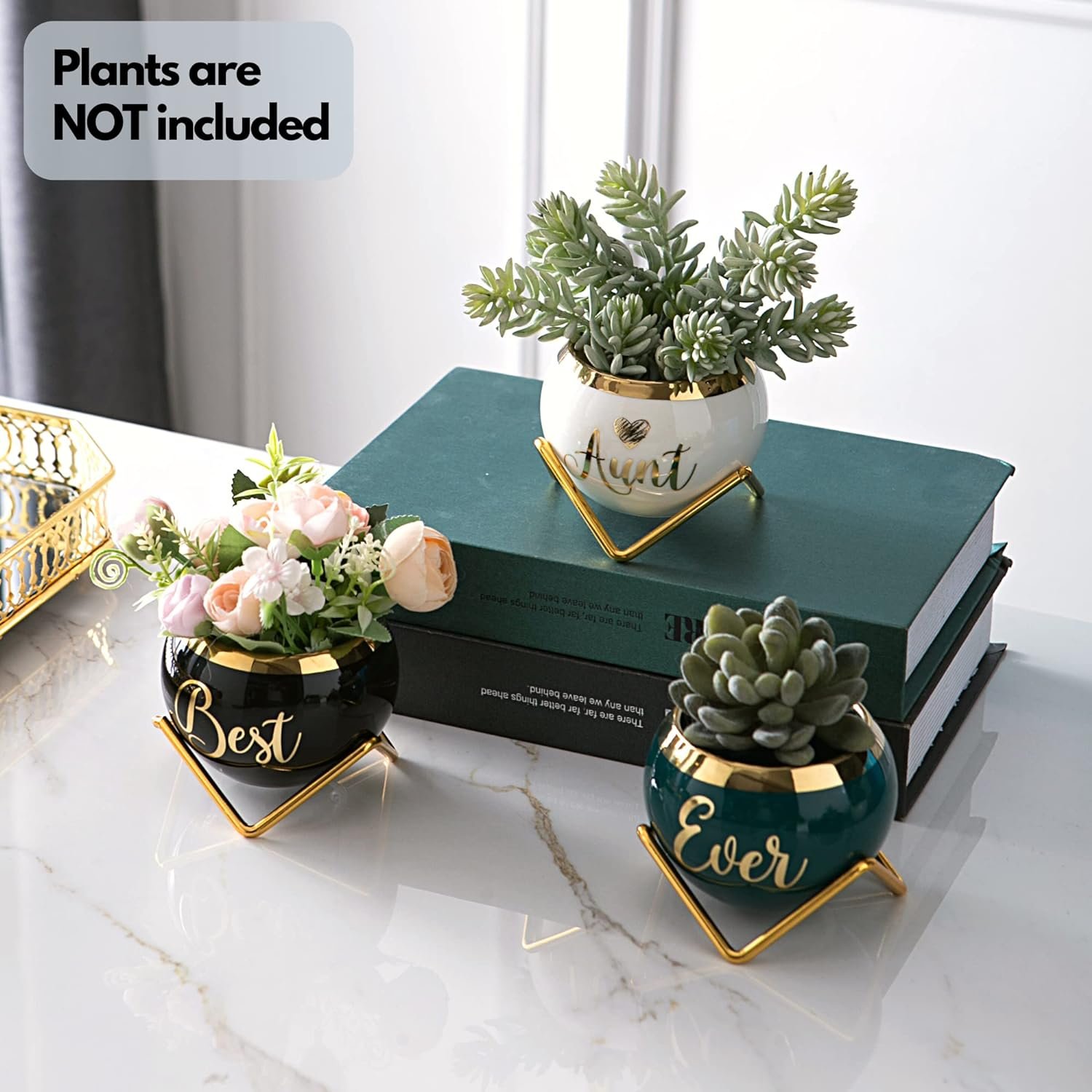 Best Friend Birthday Gifts for Women Unique | Gifts for Best Friends Women | Best Friend Birthday Gifts for Women | Birthday Gifts for Best Friend | Cute Sister Gifts from Sister,3 Pcs Succulent Pots
