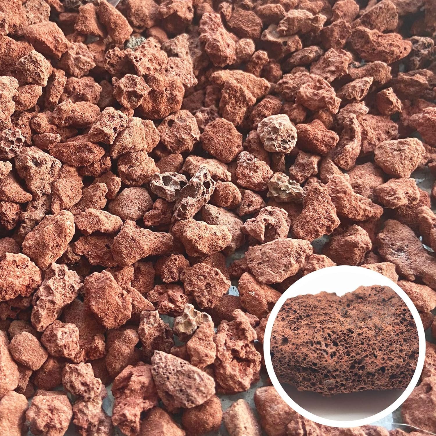 CARURBODY Red Lava Rocks for Plants -100% Pure Volcanic Rock No Dyes or Chemicals-Best Lava Stones Top Dressing for Cacti Succulents Plants,Bonsai