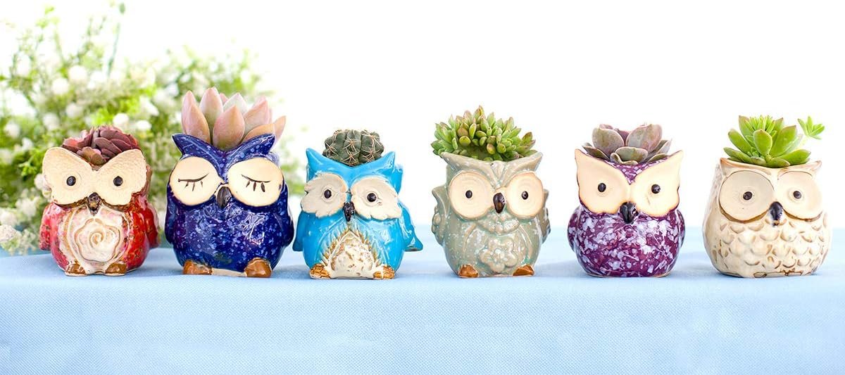 Claywa Ceramic Owl Succulent Pots Cute Animal Plant Planters 2.75 to 3.35 with Drainage Pack of 6 Plants Not Included