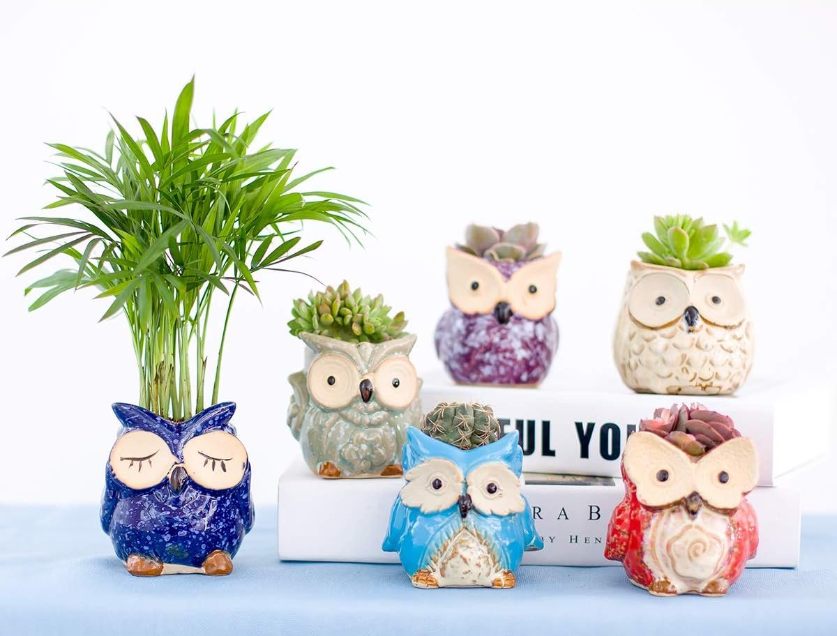 Claywa Ceramic Owl Succulent Pots Cute Animal Plant Planters 2.75 to 3.35 with Drainage Pack of 6 Plants Not Included