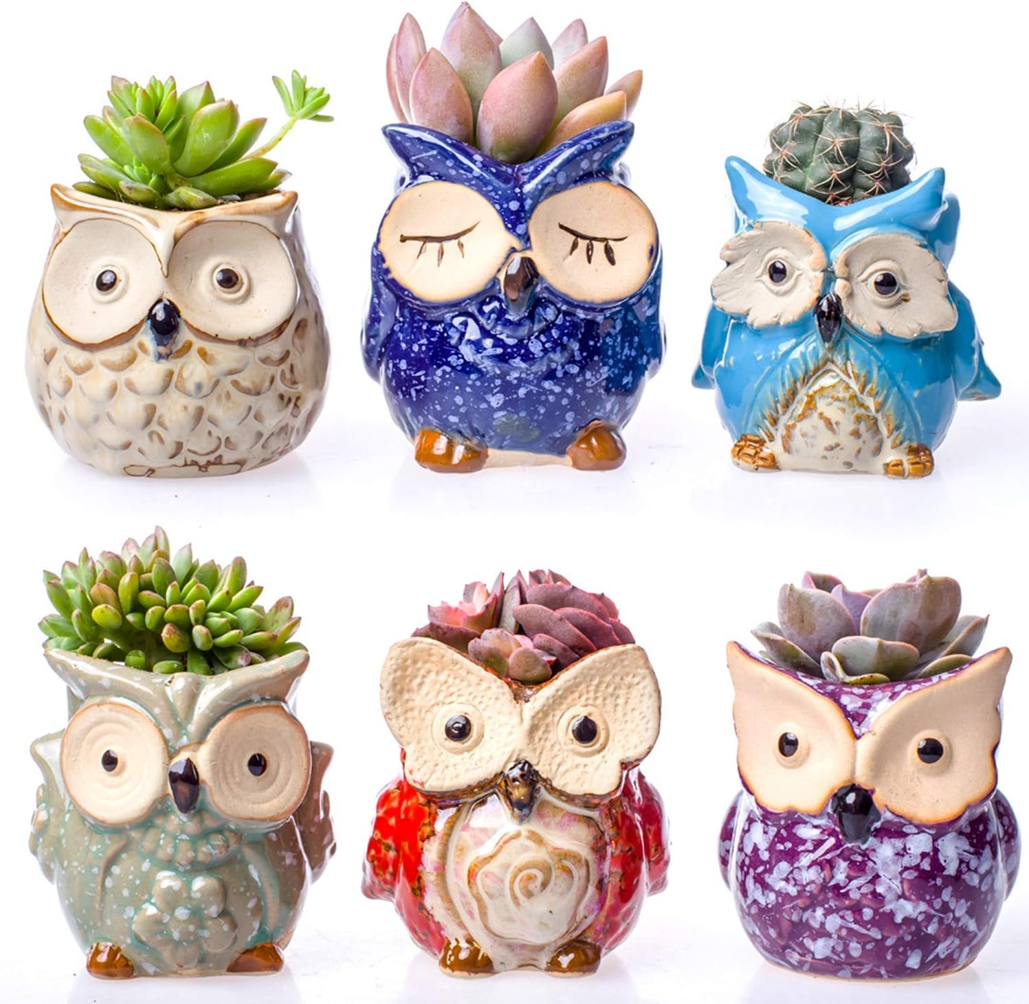 Claywa Ceramic Owl Succulent Pots Cute Animal Plant Planters 2.75 to 3.35 with Drainage Pack of 6 Plants Not Included