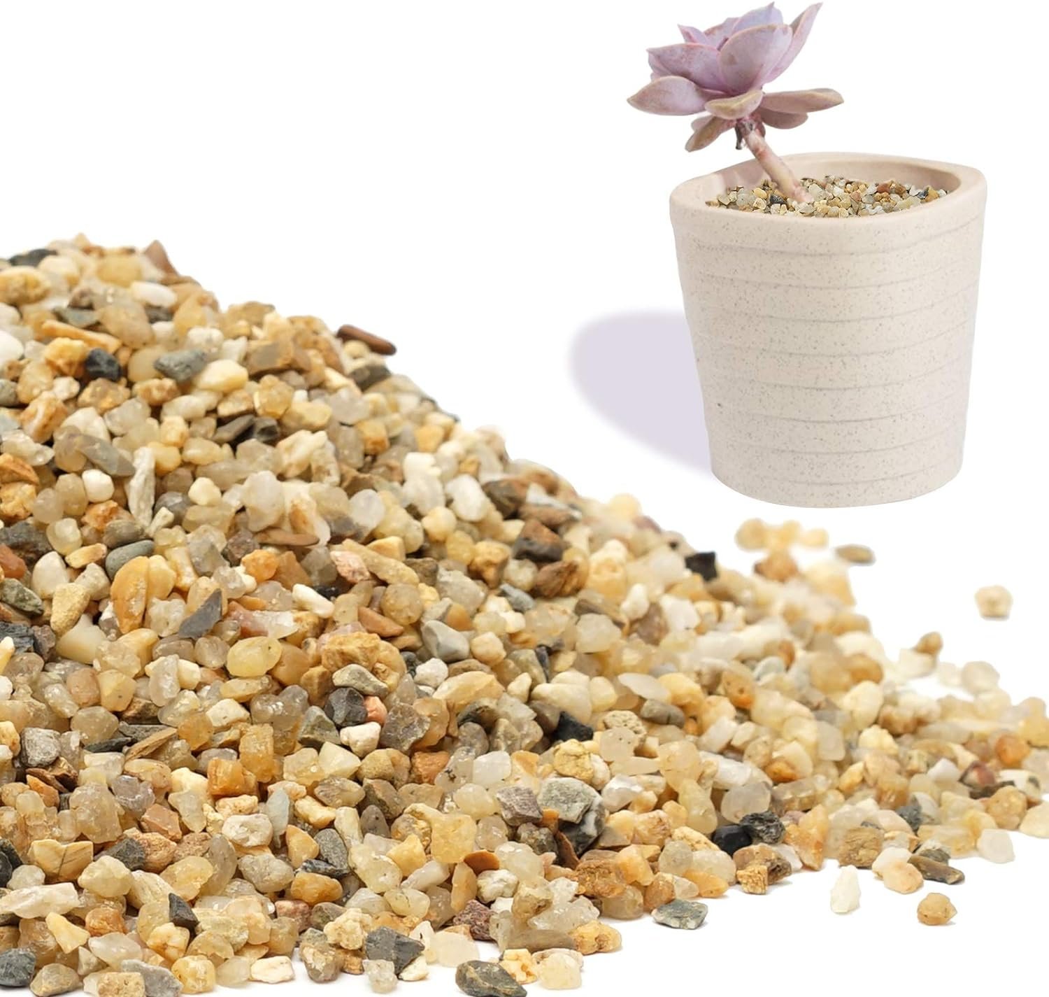 Coarse Sand Stone - Succulents and Cactus Bonsai DIY Projects Rocks, Decorative Gravel for Plants and Vases Fillers，Terrarium, Fairy Gardening, Natural Stone Top Dressing for Potted Plants.1.6lb