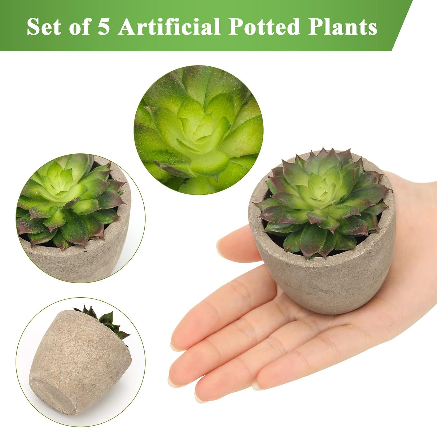 Coitak Artificial Succulent Plants Potted, Assorted Decorative Faux Succulent Potted Fake Cactus Cacti Plants with Pots, Set of 5