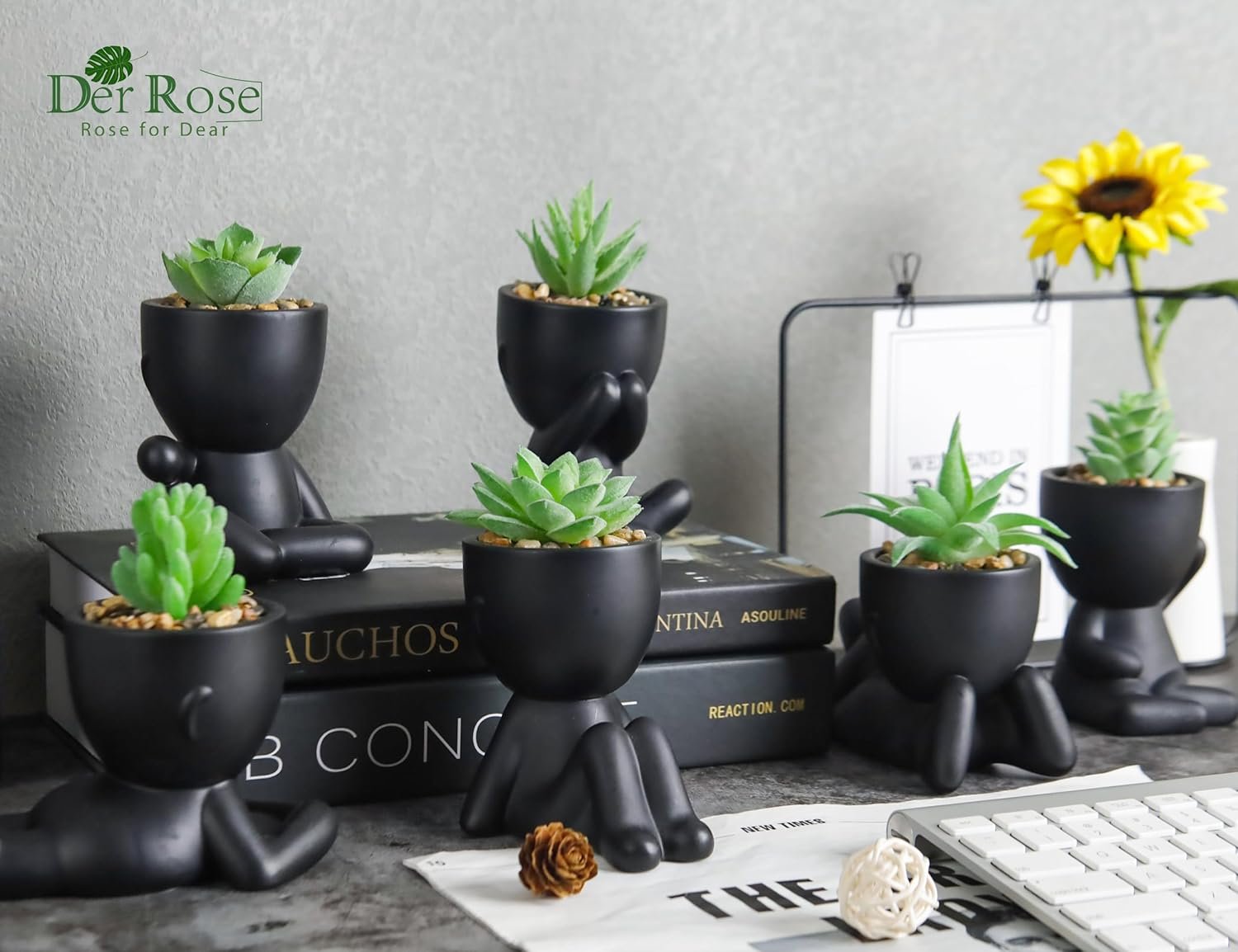 Der Rose Set of 6 Fake Plants Succulents Plants Artificial in Black Pots for Bathroom Home Office Table Decor Indoor