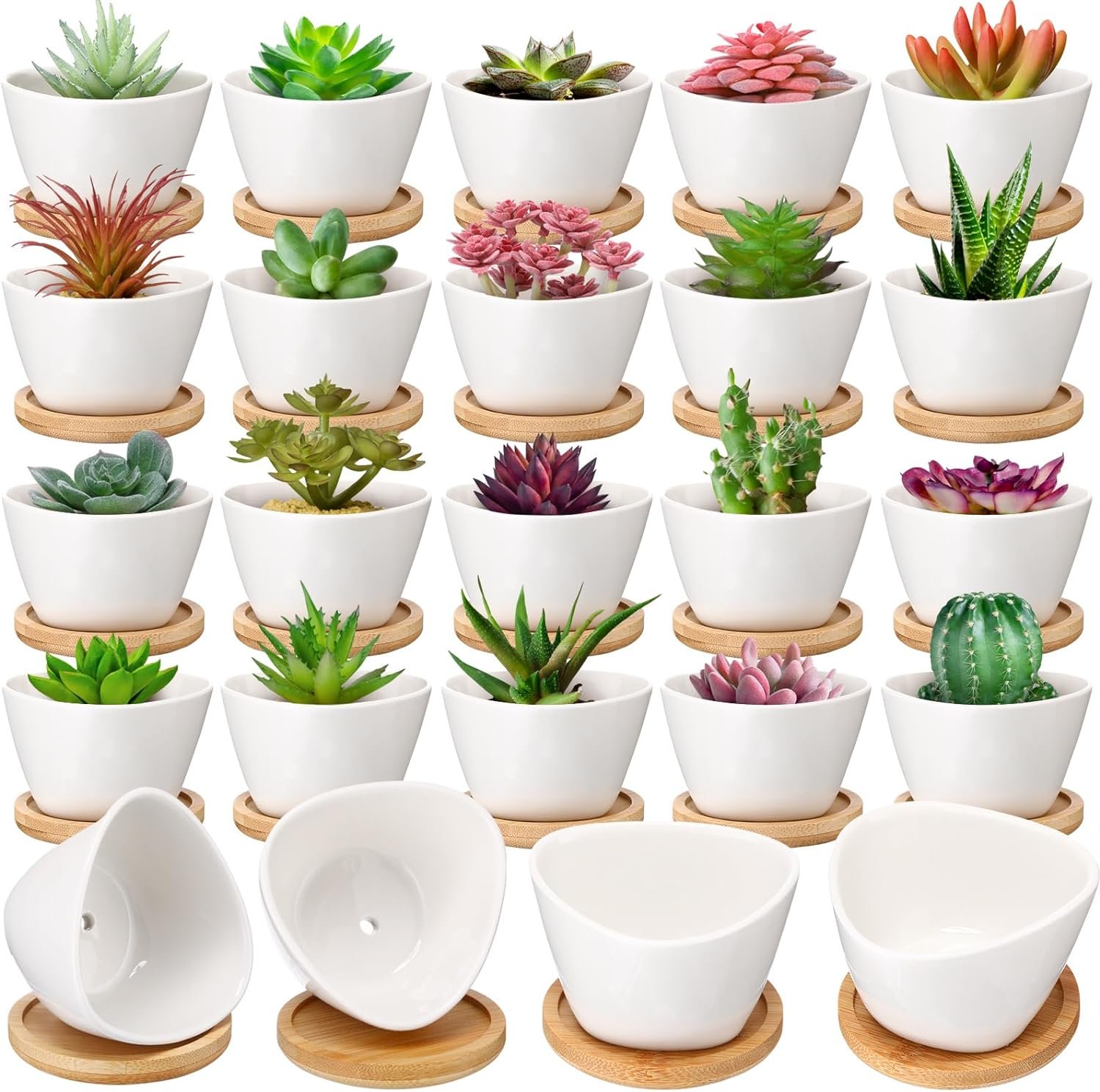 Domensi 24 Pack White Succulent Pots Mini Ceramic Plant Pots with Drainage Holes and Bamboo Tray 3 Inch Cactus Pots Small Ceramic Succulent Planter Pots Plant Containers for Office Home Garden Kitchen