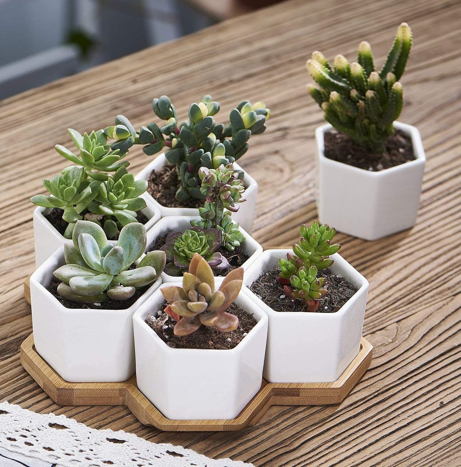 FLOWERPLUS Planter Pots Indoor, 7 Pack 2.75 Inch Modern White Ceramic Small Hex Succulent Cactus Flower Plant Pot with Bamboo Tray for Indoors Outdoor Office Home Garden Kitchen Decor (Hexagon)