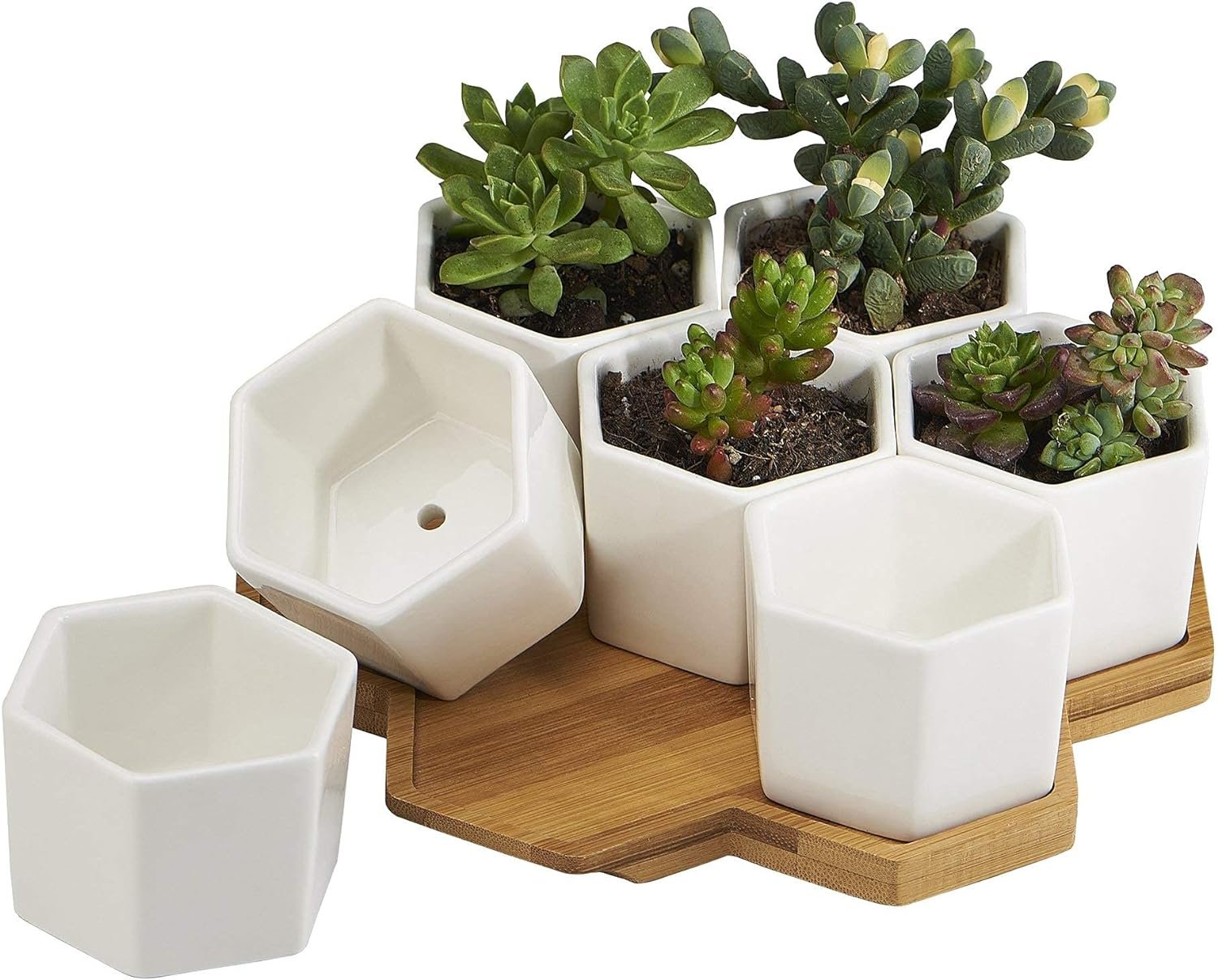 FLOWERPLUS Planter Pots Indoor, 7 Pack 2.75 Inch Modern White Ceramic Small Hex Succulent Cactus Flower Plant Pot with Bamboo Tray for Indoors Outdoor Office Home Garden Kitchen Decor (Hexagon)