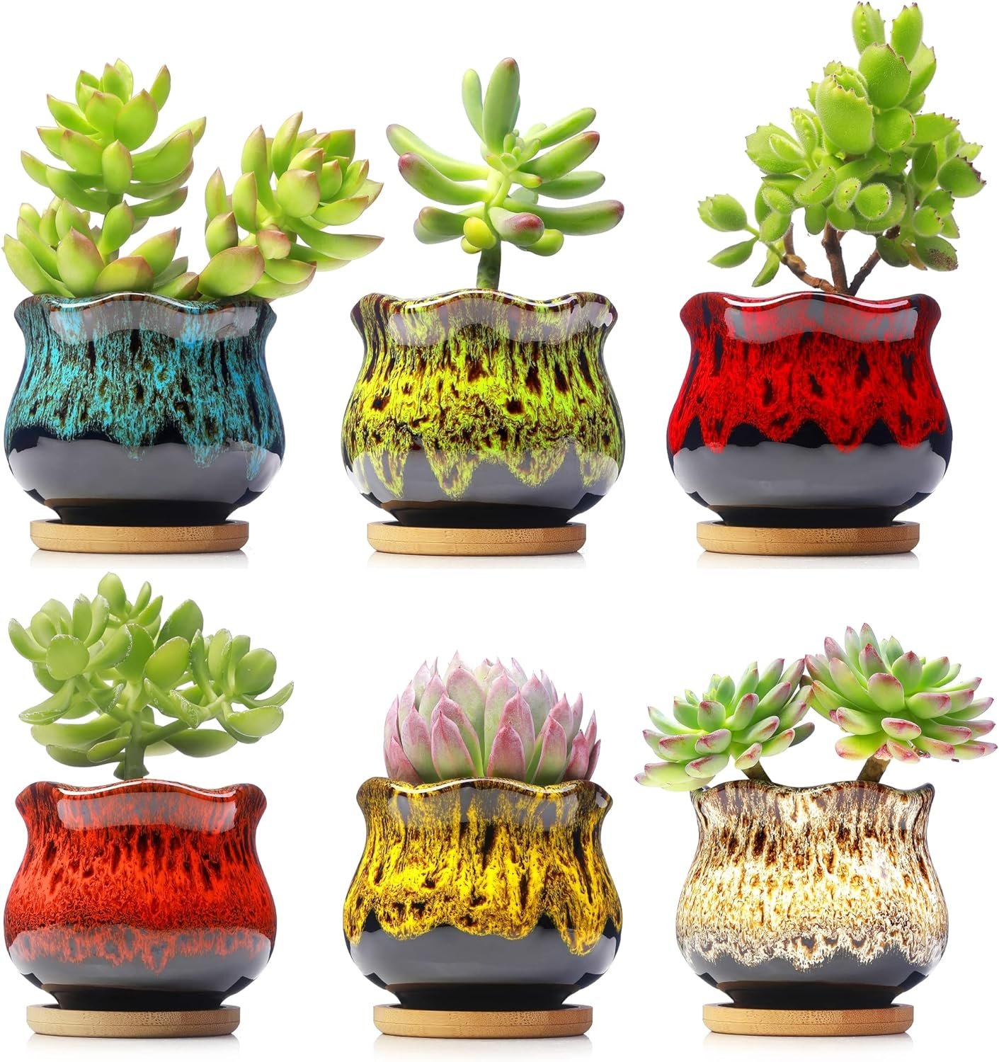 Fulloog Cute Ceramic Succulent Planters, Garden Pots with Drainage and Attached Saucer, Set of 6 - Plants Not Included