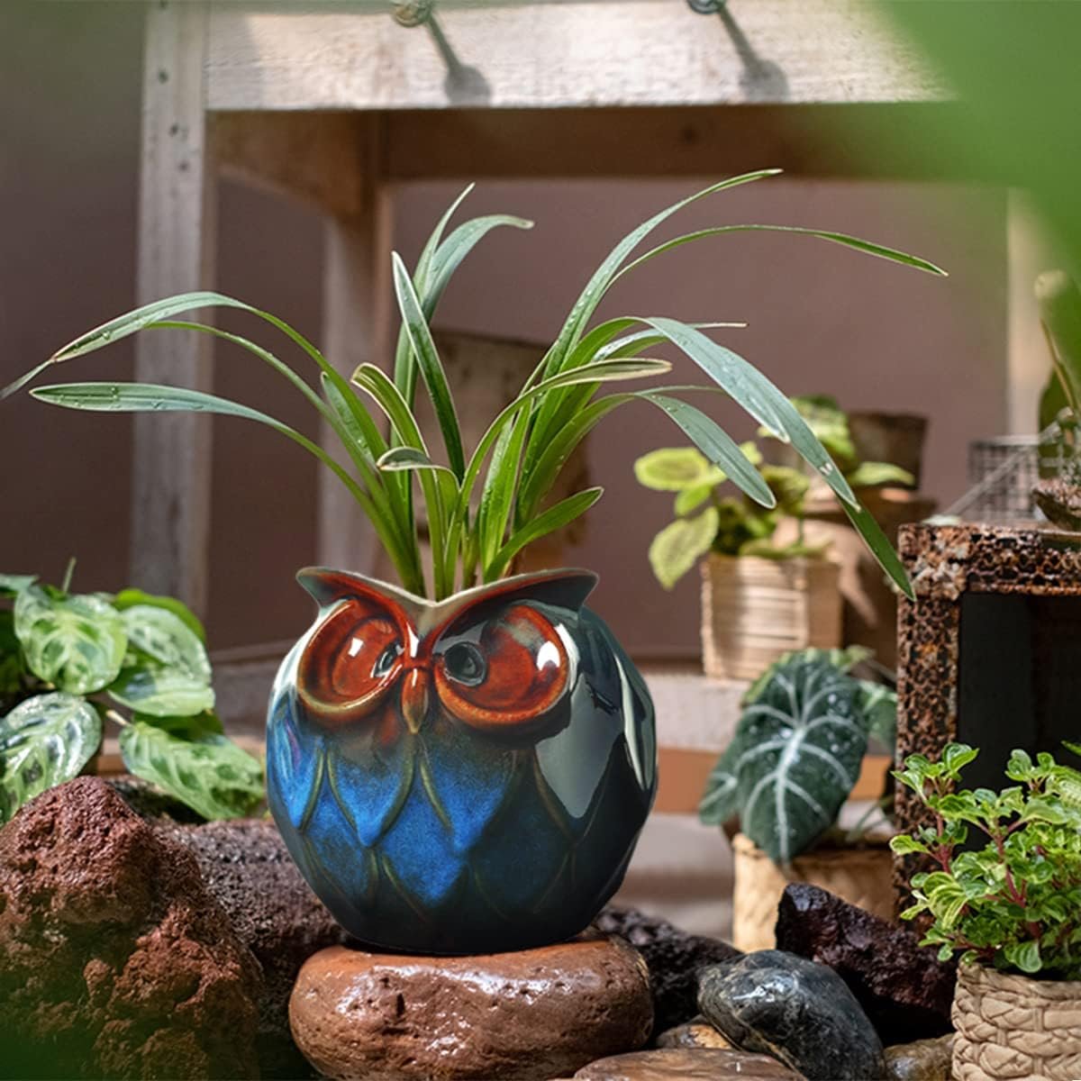 GeLive Blue Owl Ceramic Succulent Planter with Drainage Plug Animal Plant Pot Tabletop Decoration Vase Window Box Indoor Outdoor Decor (Blue)