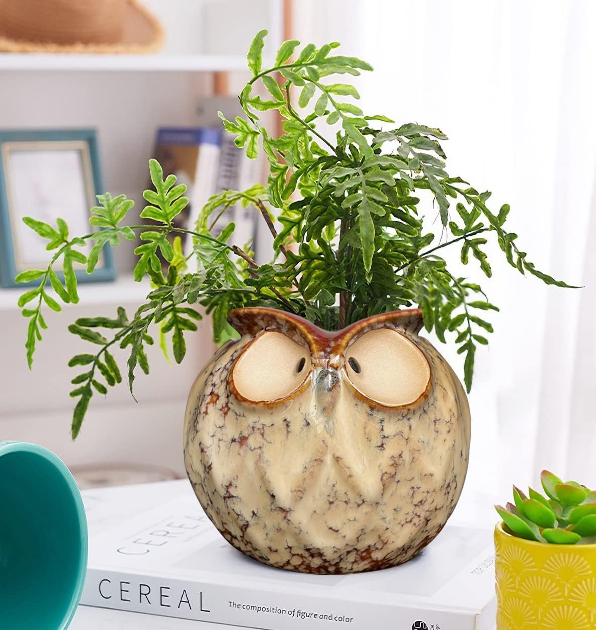 GeLive Blue Owl Ceramic Succulent Planter with Drainage Plug Animal Plant Pot Tabletop Decoration Vase Window Box Indoor Outdoor Decor (Blue)