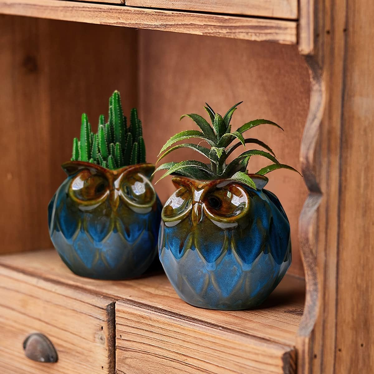 GeLive Blue Owl Ceramic Succulent Planter with Drainage Plug Animal Plant Pot Tabletop Decoration Vase Window Box Indoor Outdoor Decor (Blue)