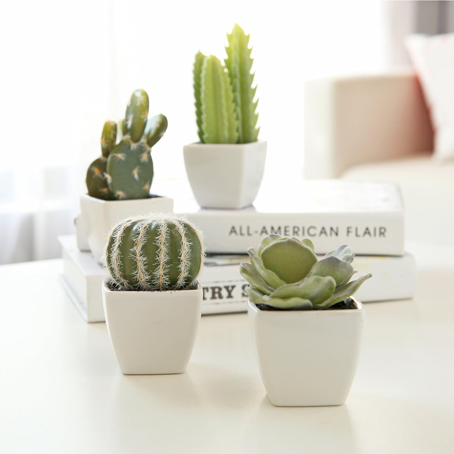 Assorted Miniature Artificial Succulent & Cactus MyGift Set Review