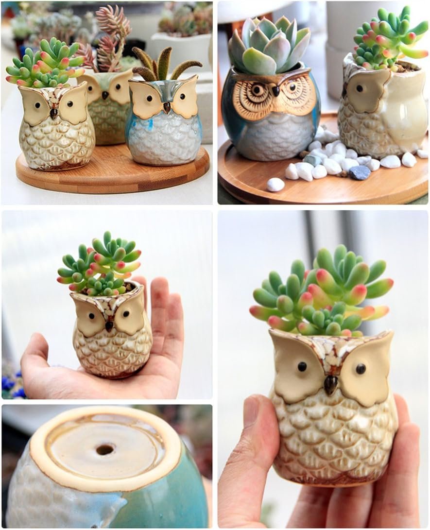 ROSE CREATE 6 Pcs 2.5 Inches Owl Pots, Little Ceramic Succulent Bonsai Pots with a Hole - Pack of 6