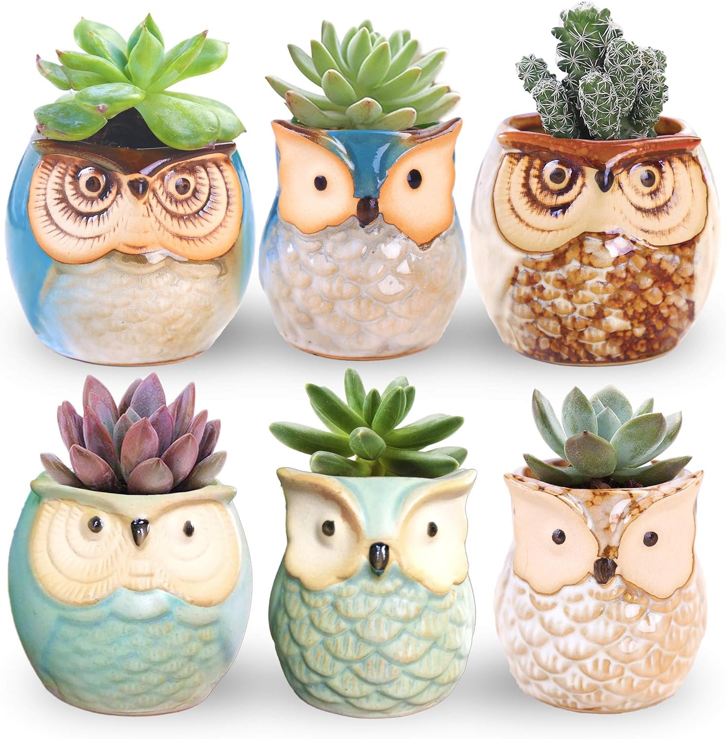 ROSE CREATE 6 Pcs 2.5 Inches Owl Pots, Little Ceramic Succulent Bonsai Pots with a Hole - Pack of 6