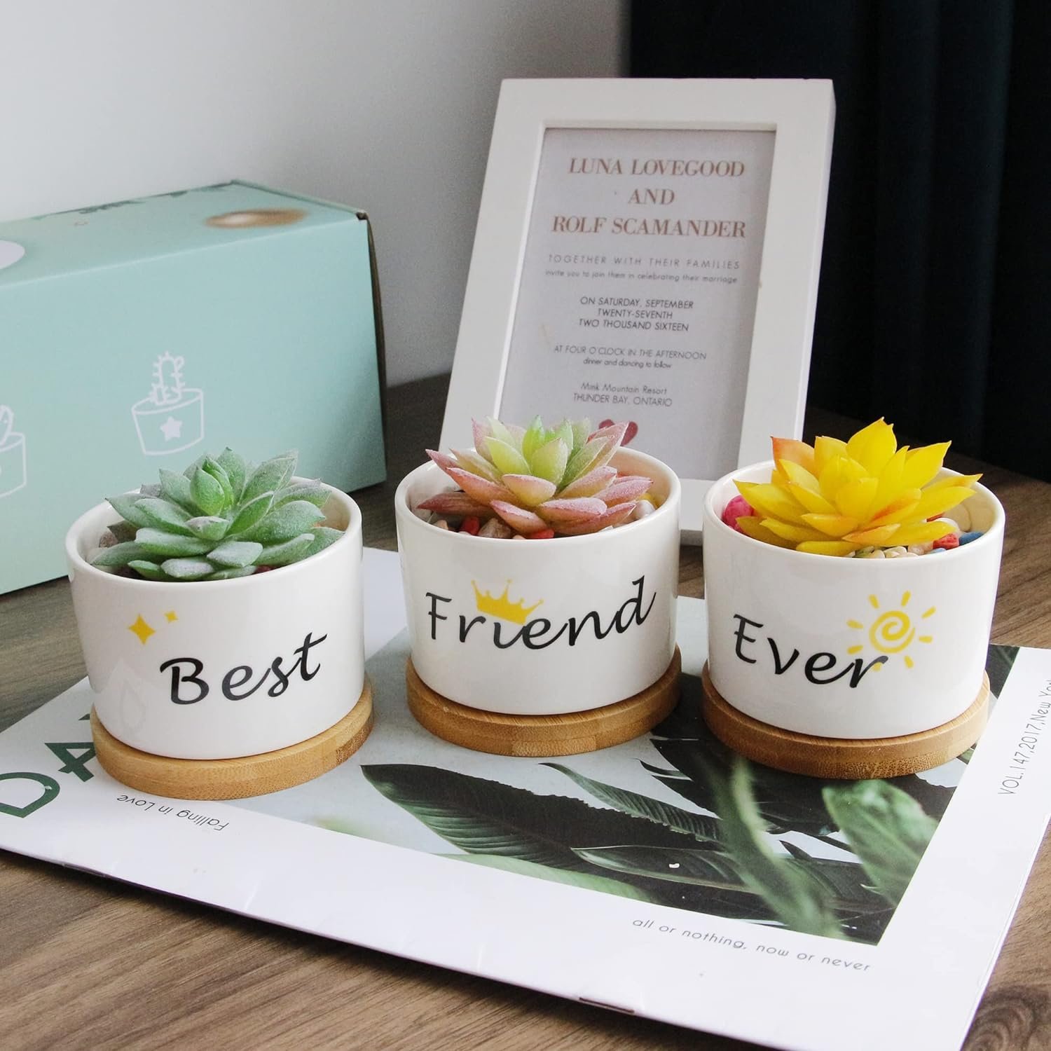 Segreto Creative Plants Pots Brush Pots Tree Stump Planter Gift Boxed for Flower Sedum Succulent Plants Desk Garden Room Pot Decor,Pack of 3,Gift Boxed