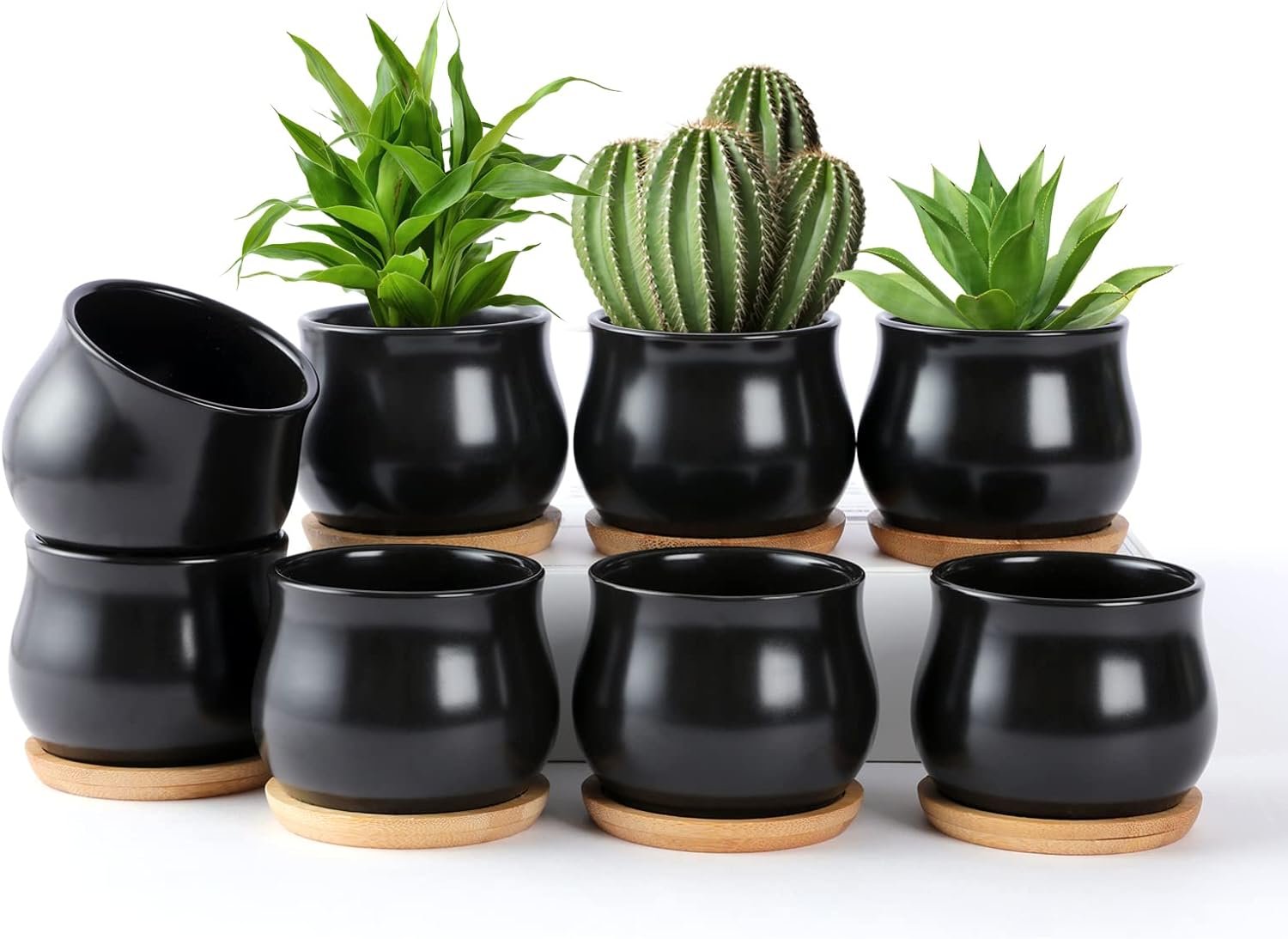 SHECIPIN 8 Pack Succulent Plant Pot, Matte Black Mini 2.6 inch Ceramic Flower Planter Pot with Bamboo Tray, Small Pots for Plants, Plants Not Included