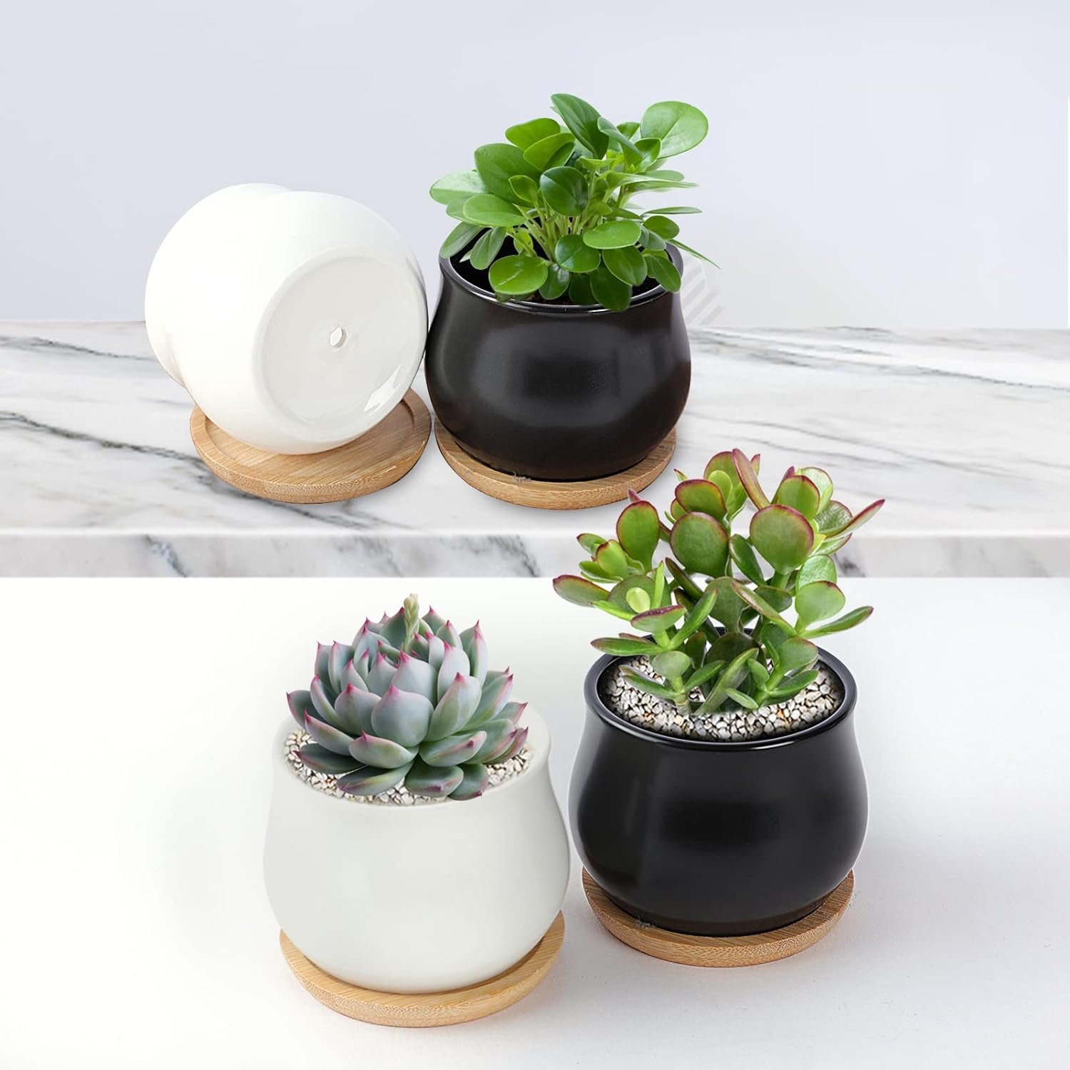 SHECIPIN 8 Pack Succulent Plant Pot, Matte Black Mini 2.6 inch Ceramic Flower Planter Pot with Bamboo Tray, Small Pots for Plants, Plants Not Included