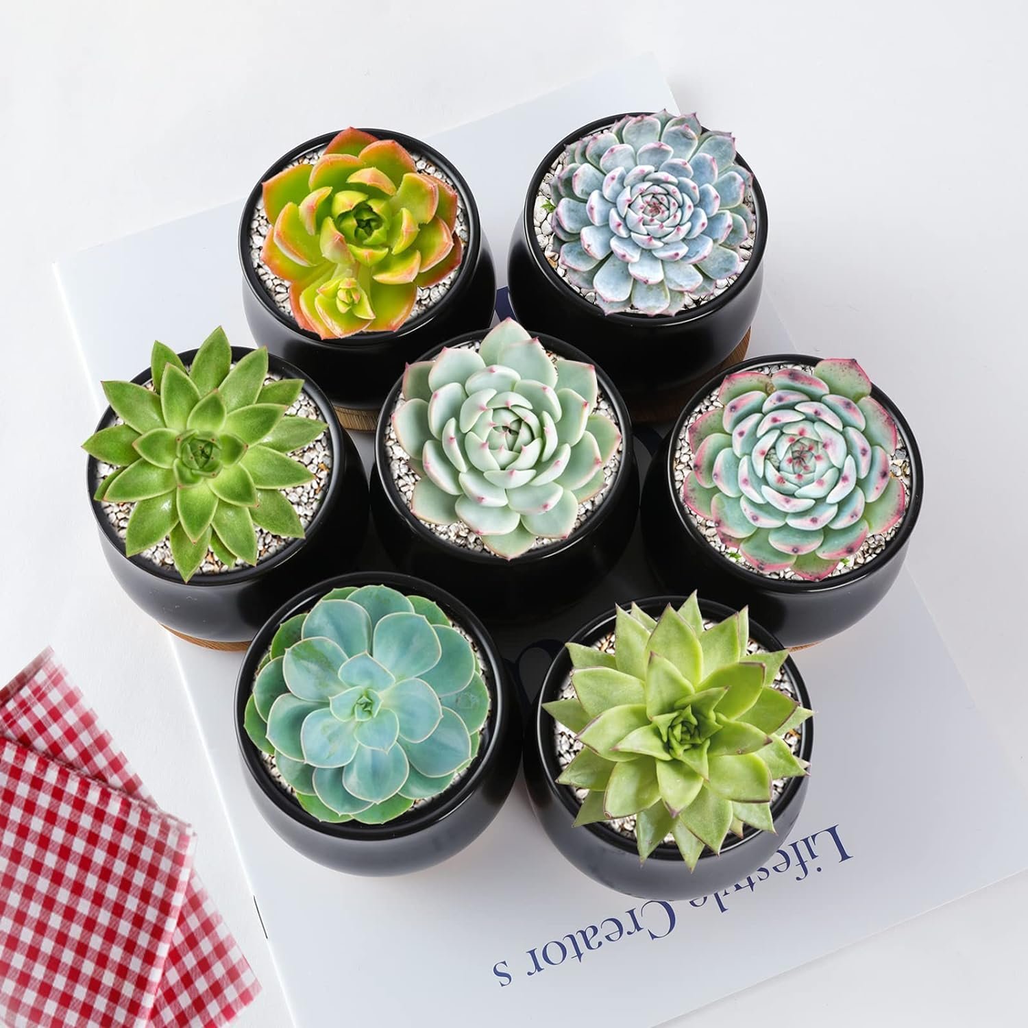 SHECIPIN 8 Pack Succulent Plant Pot, Matte Black Mini 2.6 inch Ceramic Flower Planter Pot with Bamboo Tray, Small Pots for Plants, Plants Not Included