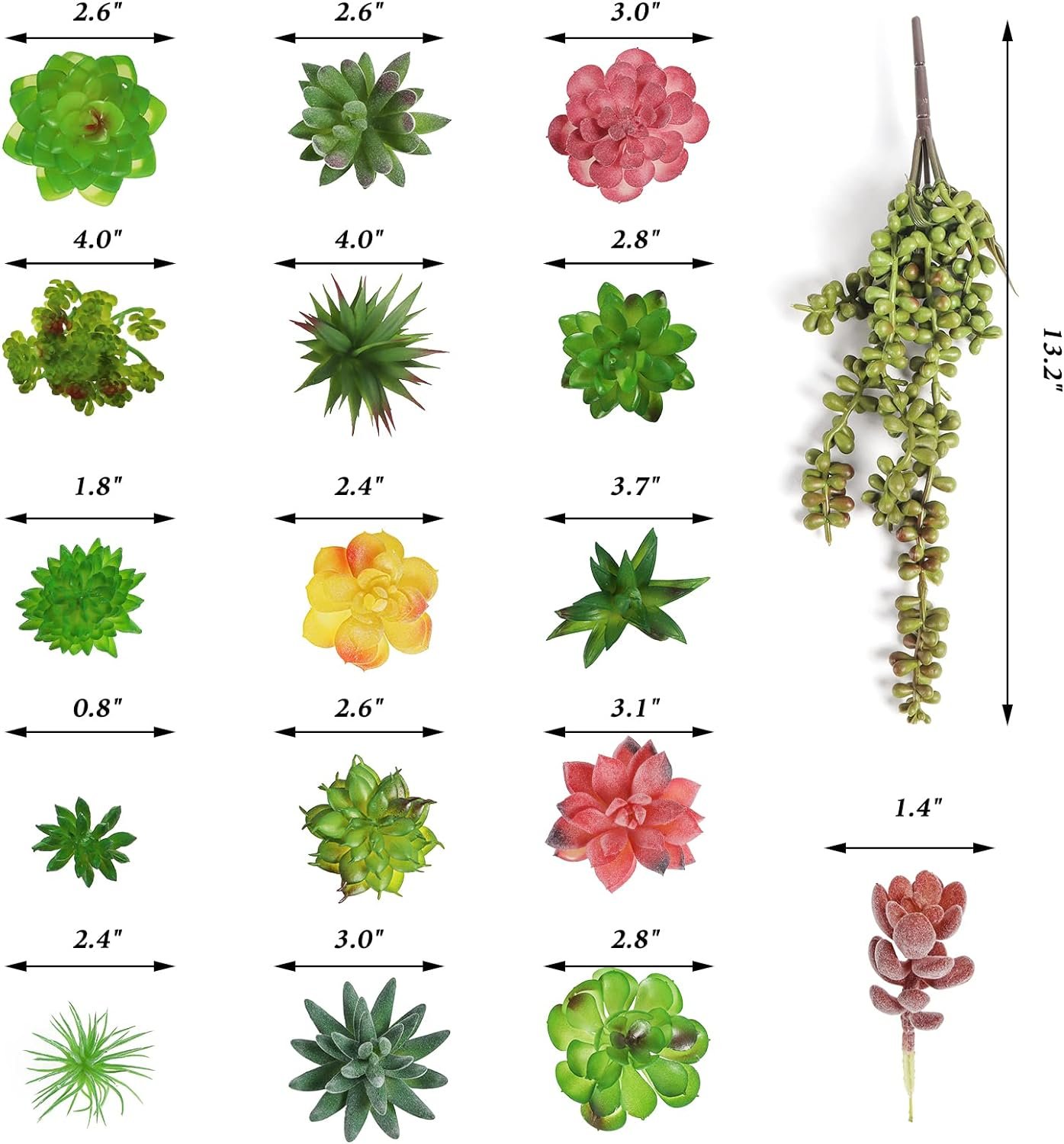 - Succulent Symphony: A Green Escape For Your Home