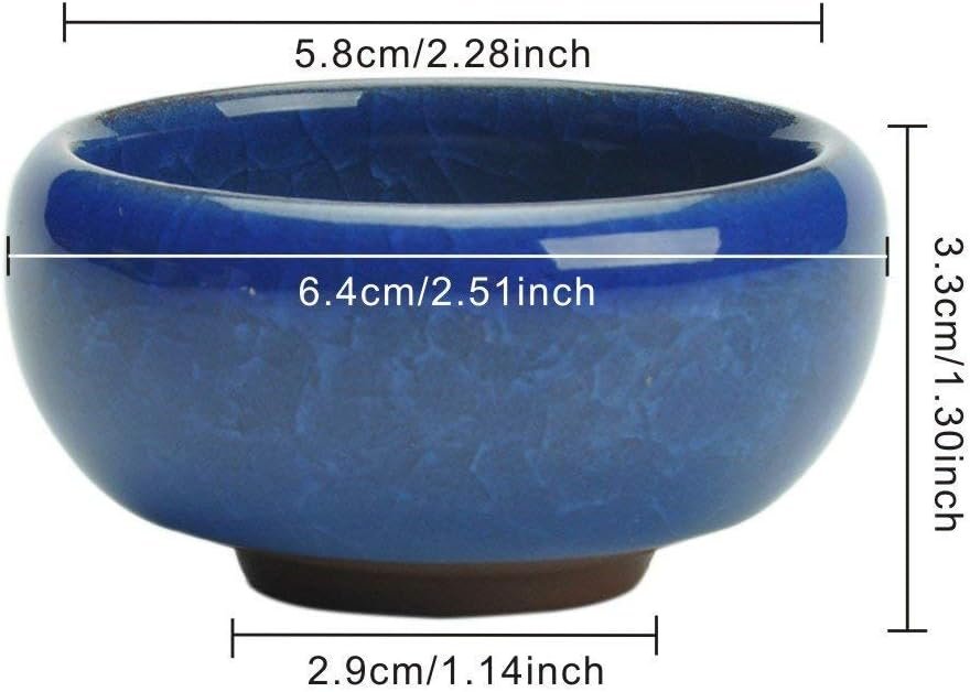 Succulent Plant Pot, My Decor 12 Pcs 2.5 Inch Ceramic Ice Crack Cactus Plant Pot /Flower Pot/ Container/ Planter