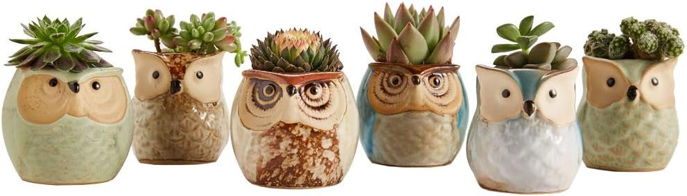 SUN-E SE Owl Pot Ceramic Flowing Glaze Base Serial Set Succulent Plant Pot Cactus Plant Pot Flower Pot Container Planter with Drainage Hole Home Office Desk Garden Gift Idea 6pcs 2.5 Inch