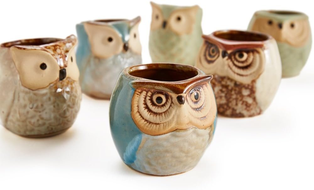 SUN-E SE Owl Pot Ceramic Flowing Glaze Base Serial Set Succulent Plant Pot Cactus Plant Pot Flower Pot Container Planter with Drainage Hole Home Office Desk Garden Gift Idea 6pcs 2.5 Inch