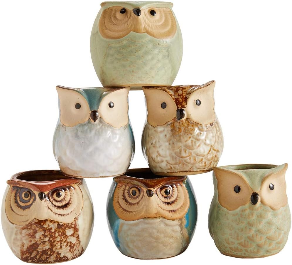 SUN-E SE Owl Pot Ceramic Flowing Glaze Base Serial Set Succulent Plant Pot Cactus Plant Pot Flower Pot Container Planter with Drainage Hole Home Office Desk Garden Gift Idea 6pcs 2.5 Inch