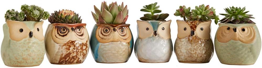 SUN-E SE Owl Pot Ceramic Flowing Glaze Base Serial Set Succulent Plant Pot Cactus Plant Pot Flower Pot Container Planter with Drainage Hole Home Office Desk Garden Gift Idea 6pcs 2.5 Inch