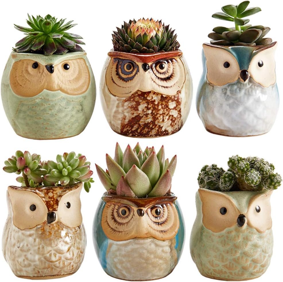 SUN-E SE Owl Pot Ceramic Flowing Glaze Base Serial Set Succulent Plant Pot Cactus Plant Pot Flower Pot Container Planter with Drainage Hole Home Office Desk Garden Gift Idea 6pcs 2.5 Inch