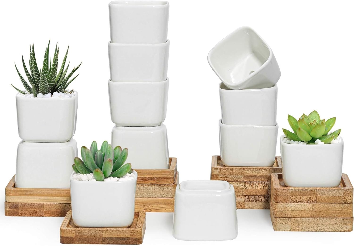 T4U 2 Inch Small White Succulent Planter Pots with Bamboo Tray Square Set of 12, Ceramic Flower Pots Cactus Air Plant Faux Plants Containers,Plant Lover Gifts for Women, Modern Home and Office Decor