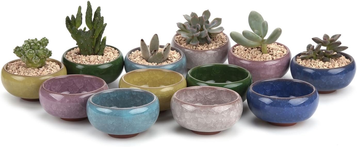 T4U 2.5 Inch Small Ceramic Succulent Planter Pot with Drainage Hole Set of 12, Ice Crack Glaze Porcelain Handicraft Plant Container Gift for Mom Sister Aunt Best for Home Office Desk Decoration