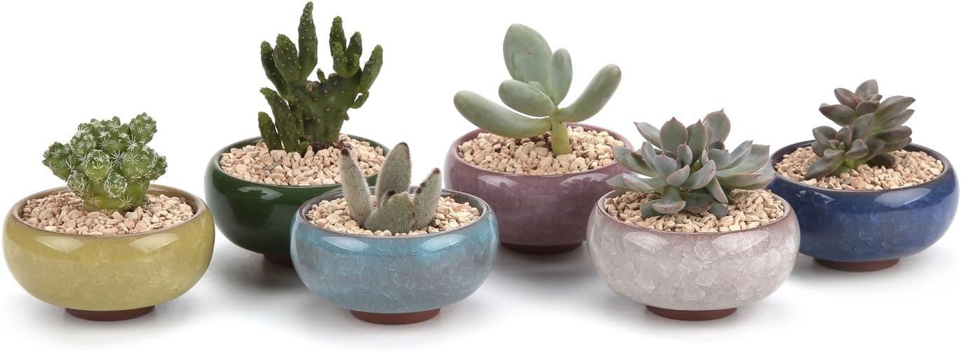 T4U 2.5 Inch Small Ceramic Succulent Planter Pot with Drainage Hole Set of 12, Ice Crack Glaze Porcelain Handicraft Plant Container Gift for Mom Sister Aunt Best for Home Office Desk Decoration