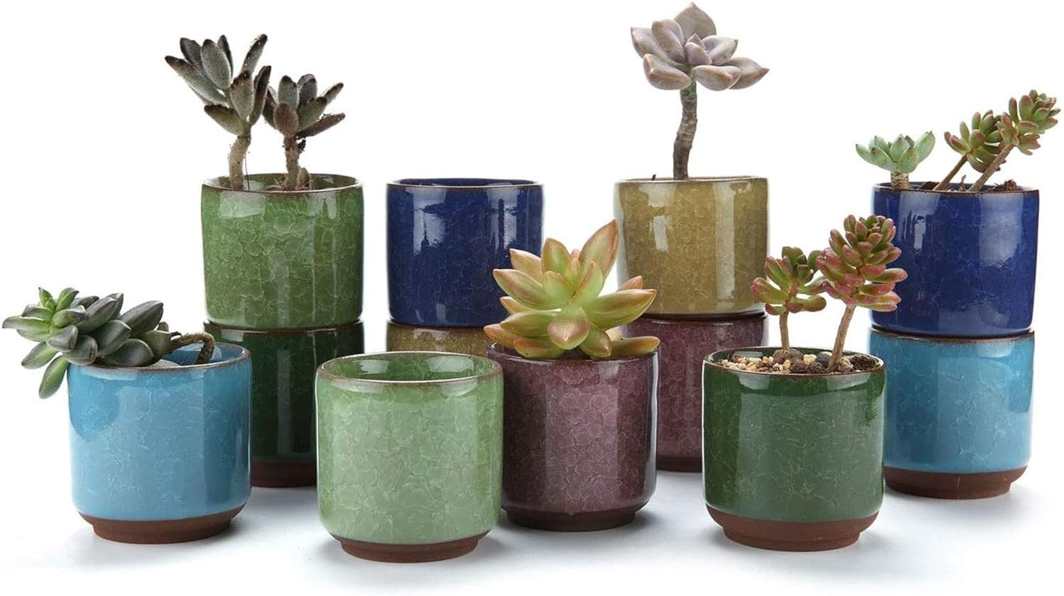 T4U 2.5 Inch Small Ceramic Succulent Planter Pot with Drainage Hole Set of 12, Ice Crack Glaze Porcelain Handicraft Plant Container Gift for Mom Sister Aunt Best for Home Office Desk Decoration